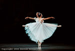 dottie dillard photography
