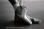 dottie dillard photography