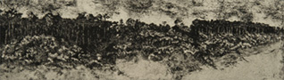art of the carolinas