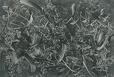 art of the carolinas