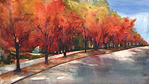 lynn greer
