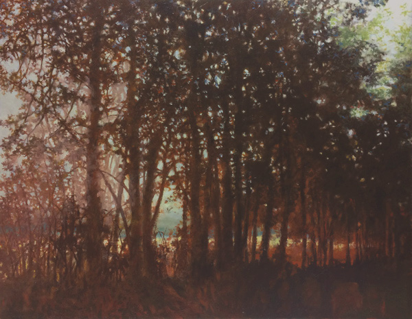 Scott Cunningham